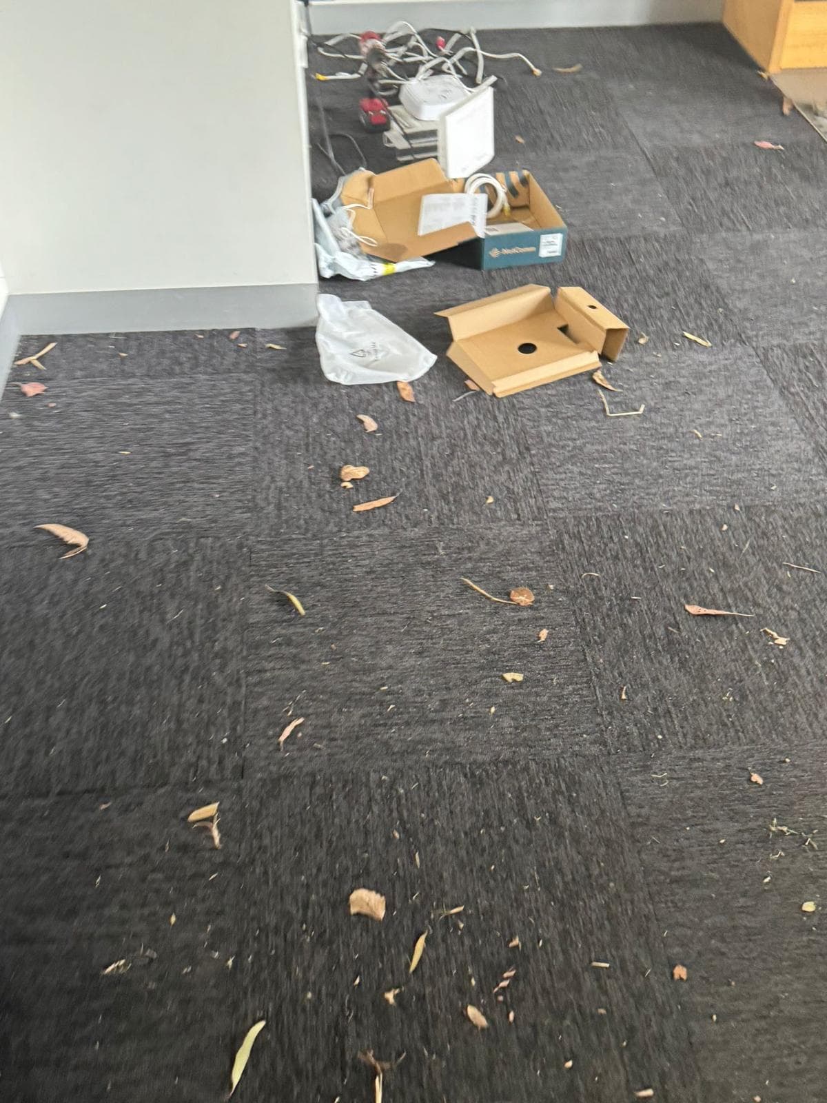 Before commercial cleaning 2