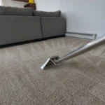 Revitalize Your Home with Professional Carpet Cleaning Services