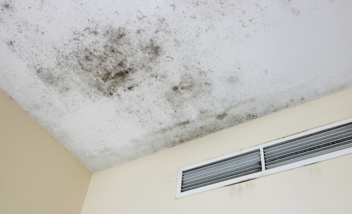 Mold on ceiling with visible black stains caused by poor ventilation, highlighting effective removal tips